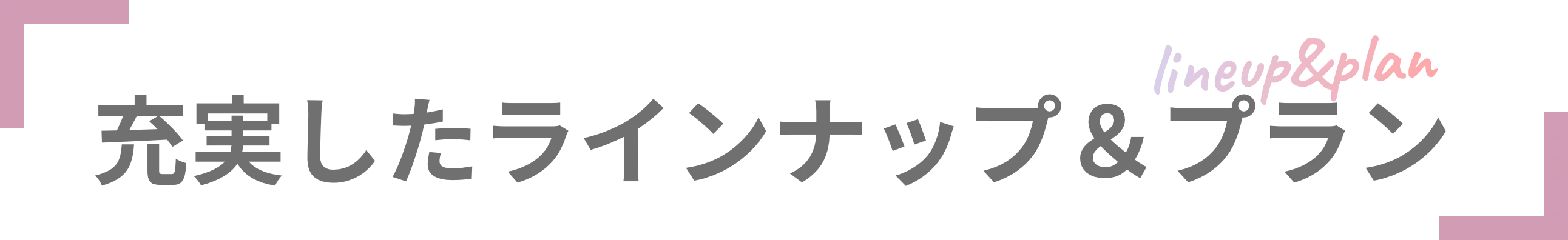 充実したラインナップ